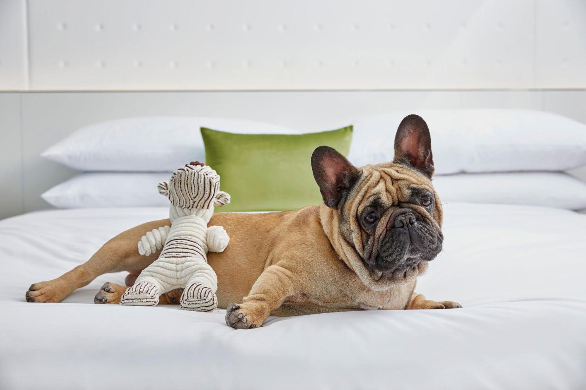 Hotel Charlotte Marriott Southpark Zewnętrze zdjęcie